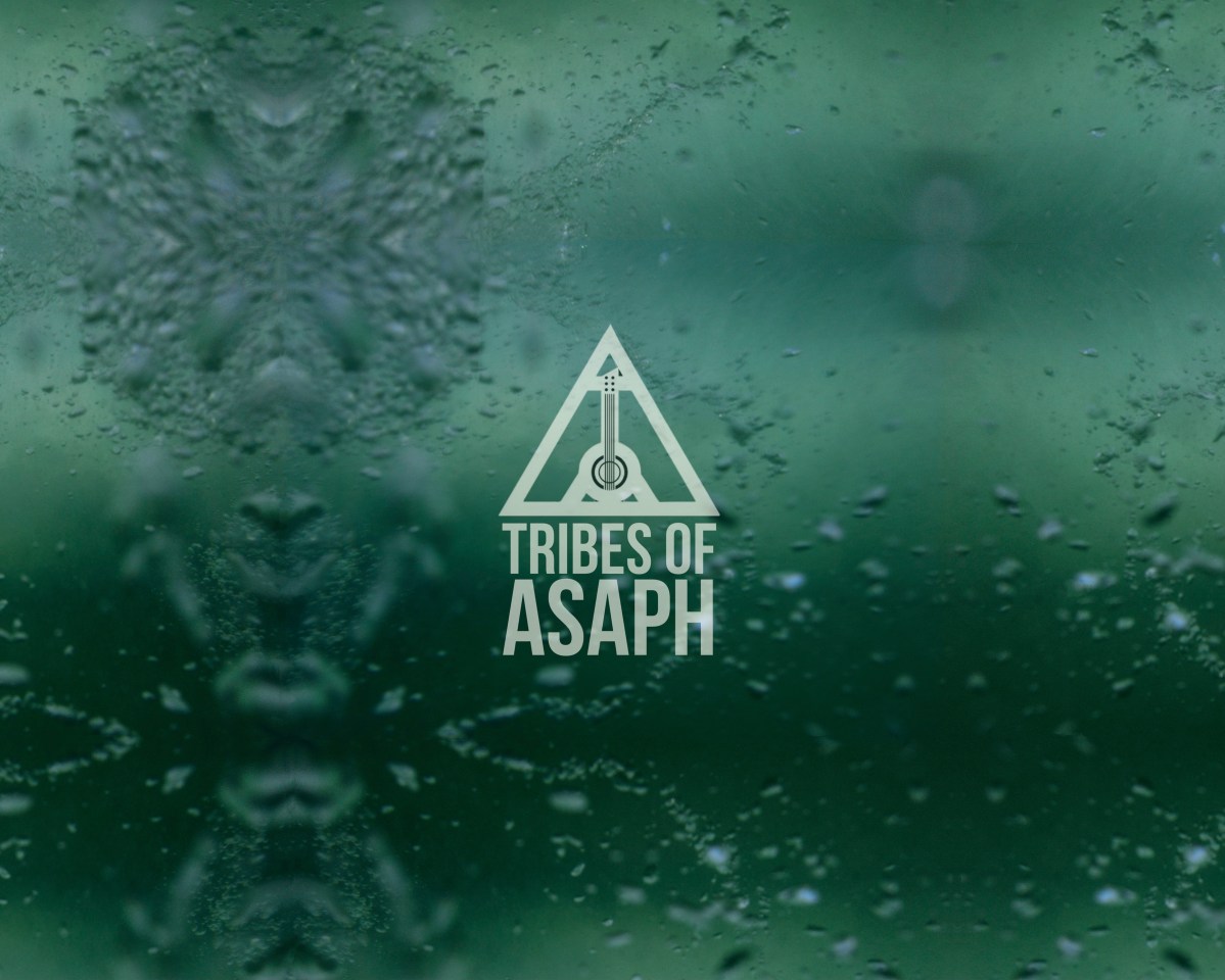 A Short Deep Dive into The Universe of Tribes of&nbsp;Asaph